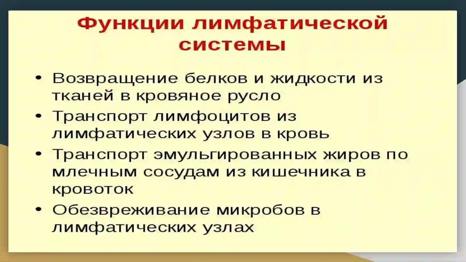 Лимфатическая система или лимфология 3