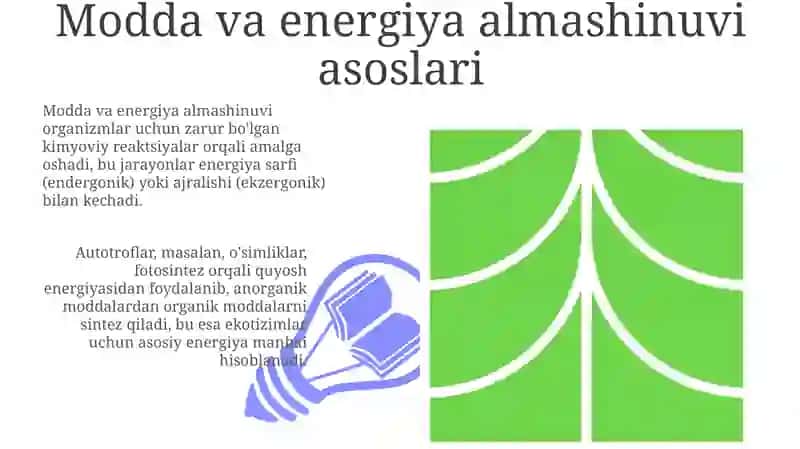 Modda va energiya almashinuvi 3