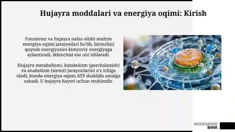 Hujayra moddalari va energiya oqimi 3
