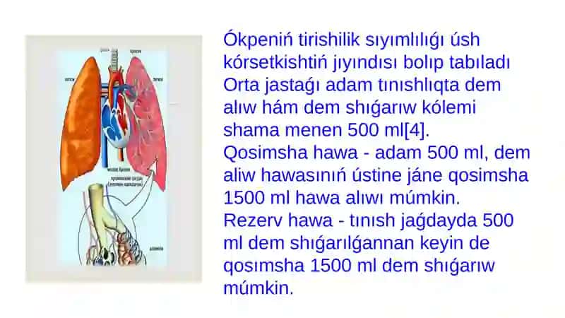 Ókpeniń tirishilik sıyımlılıǵı (ÓTS) 3