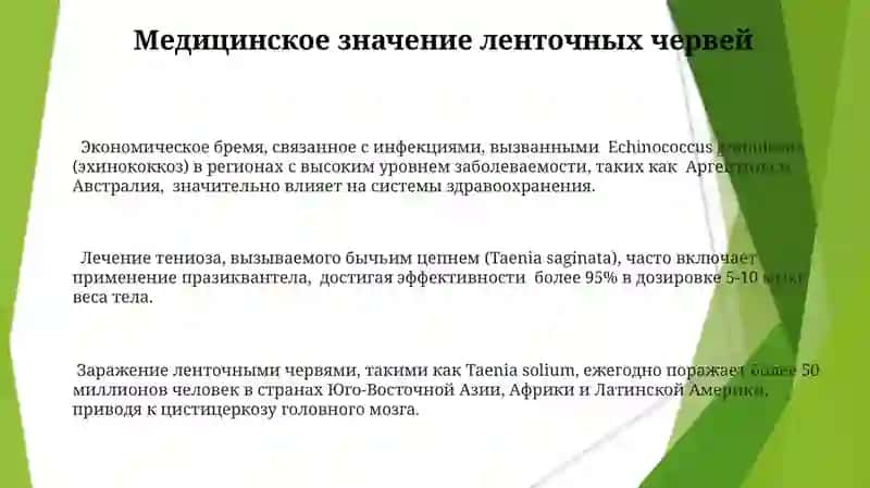 Жасмина Абдуллаева 3
