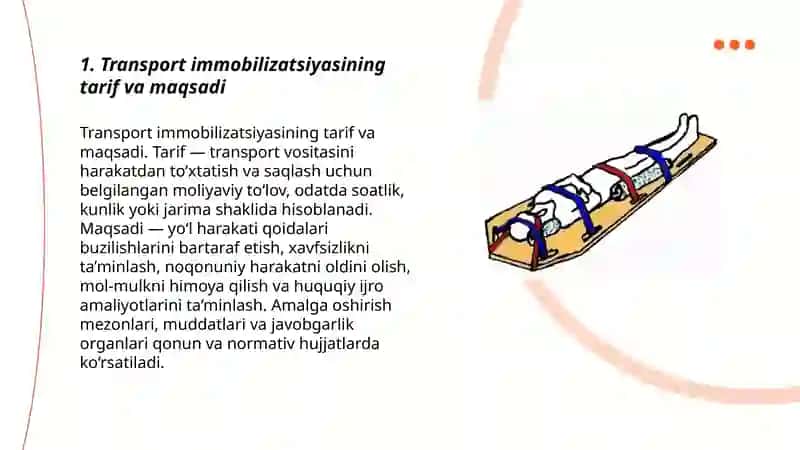 Transport immobilizatsiyasi 3