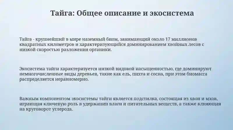Поездка в Таежный лес 3