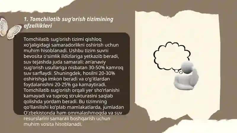 Tomchilatib sug'orish loyihasi 3