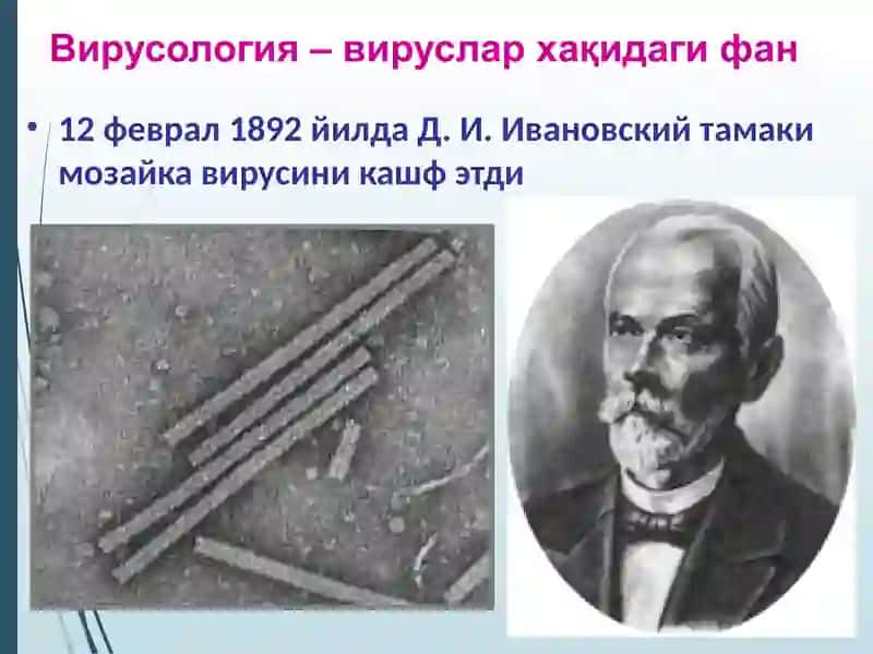 Умумий вирусология 3