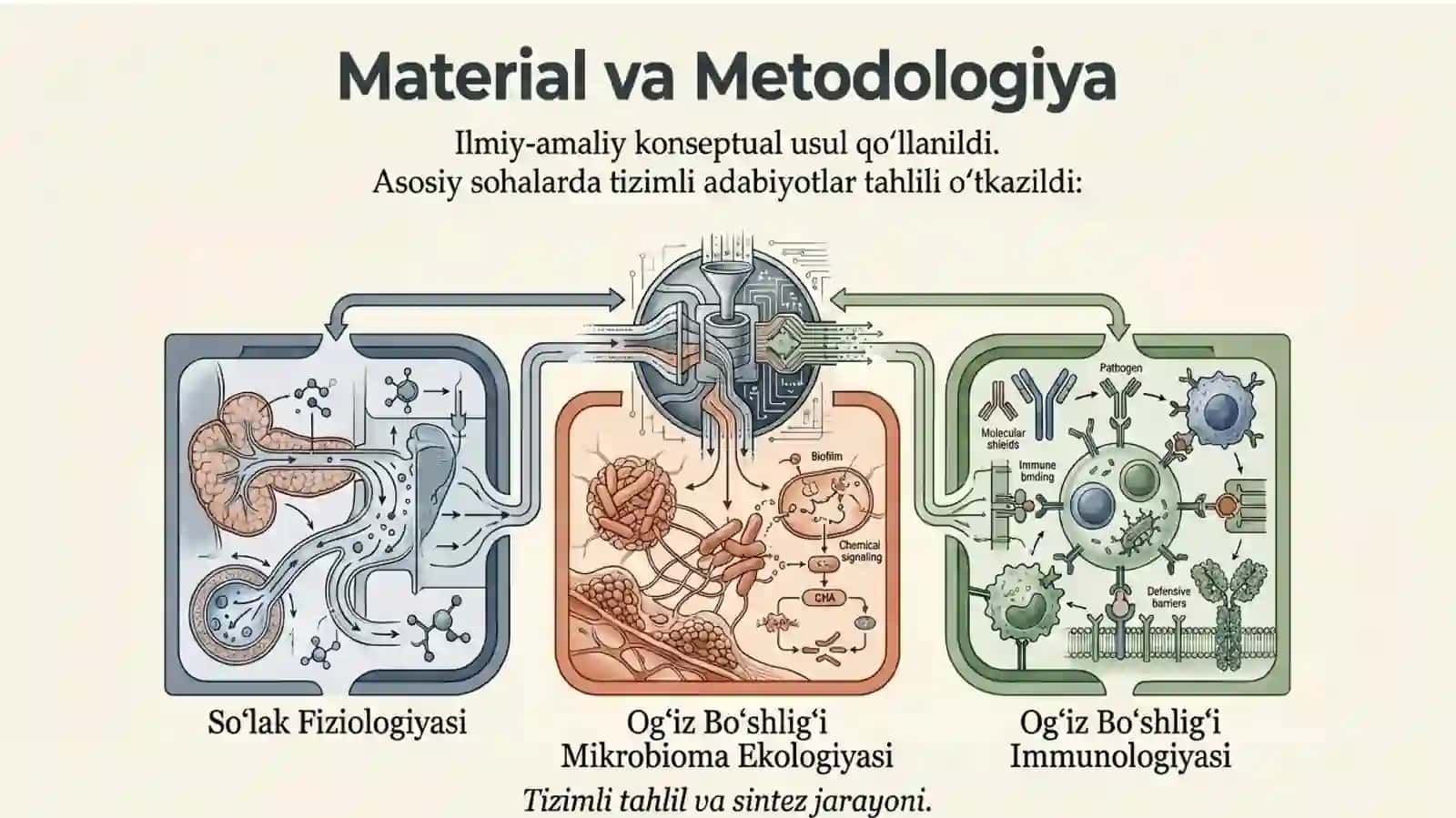 og‘iz bo‘shlig‘i ekotizimini 3