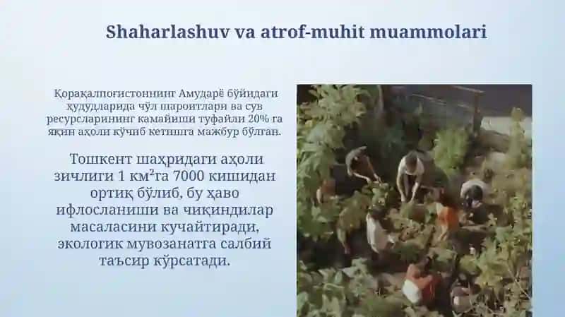 Aholi joylashtirish vatabiiymuhit 3