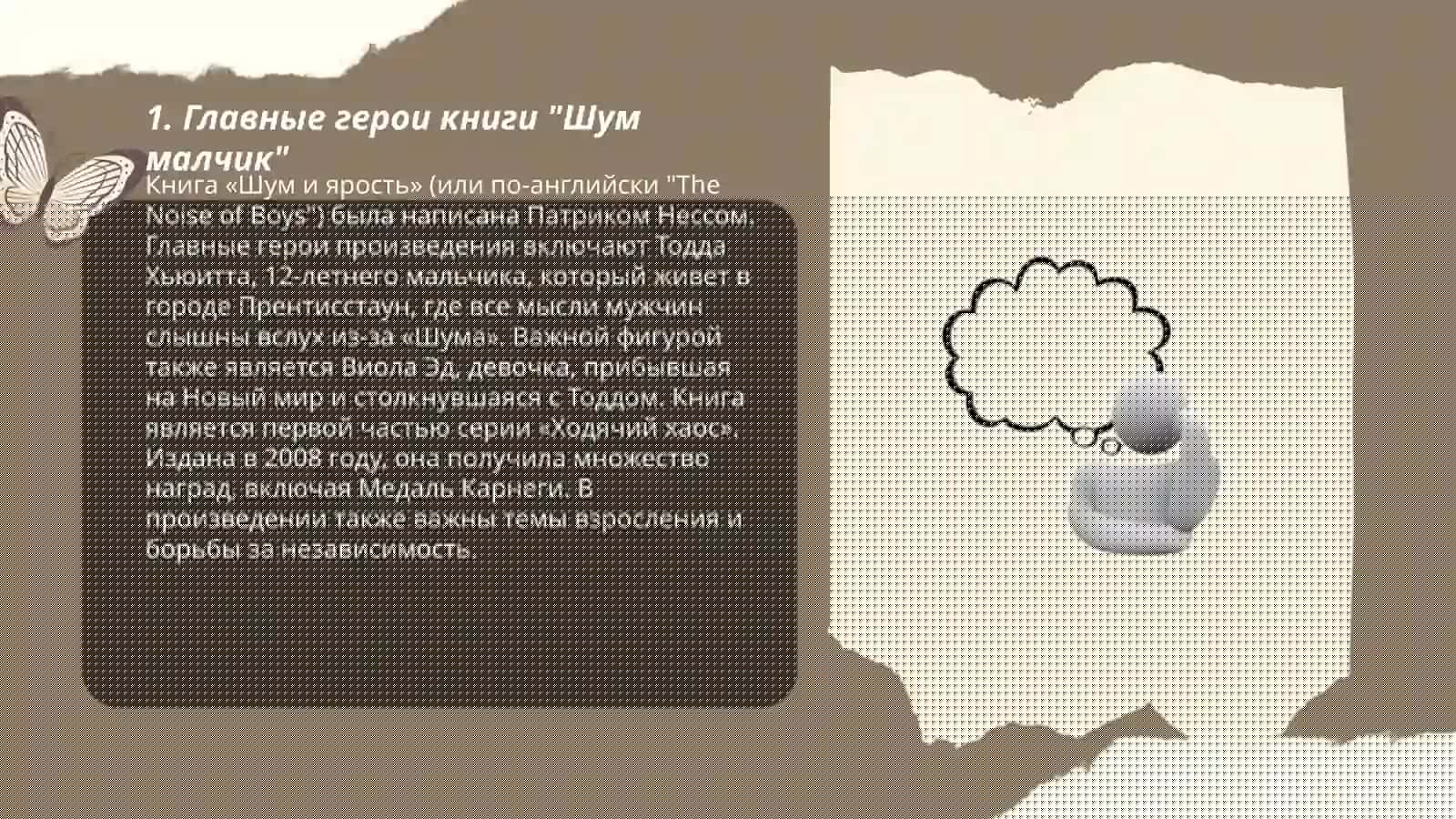 Шум малчик 3