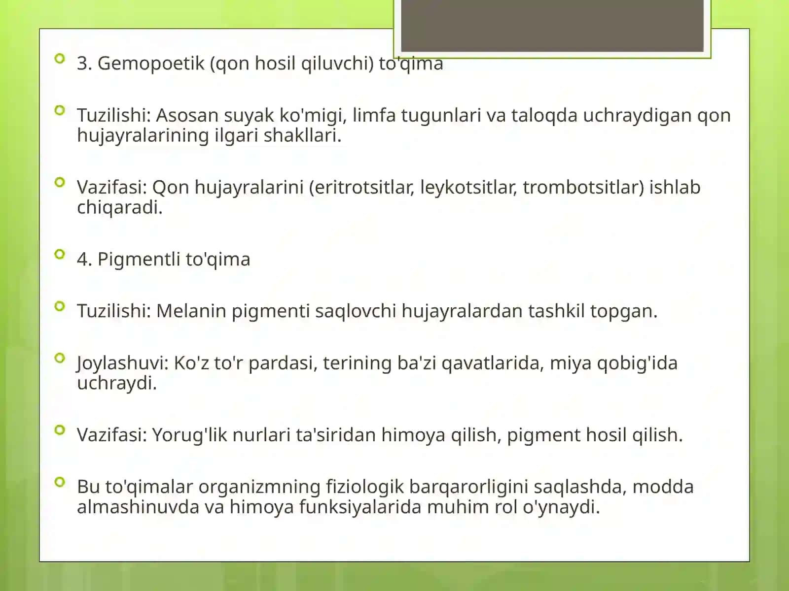 Yog'to'qimasi (adipoz to'qima) 3