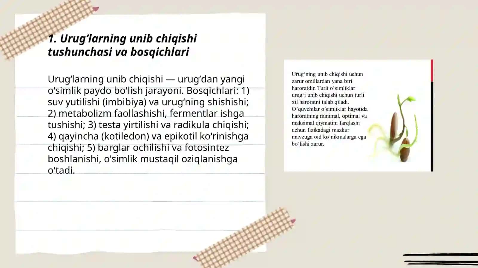 Urugʻlarni unib chiqishi 3
