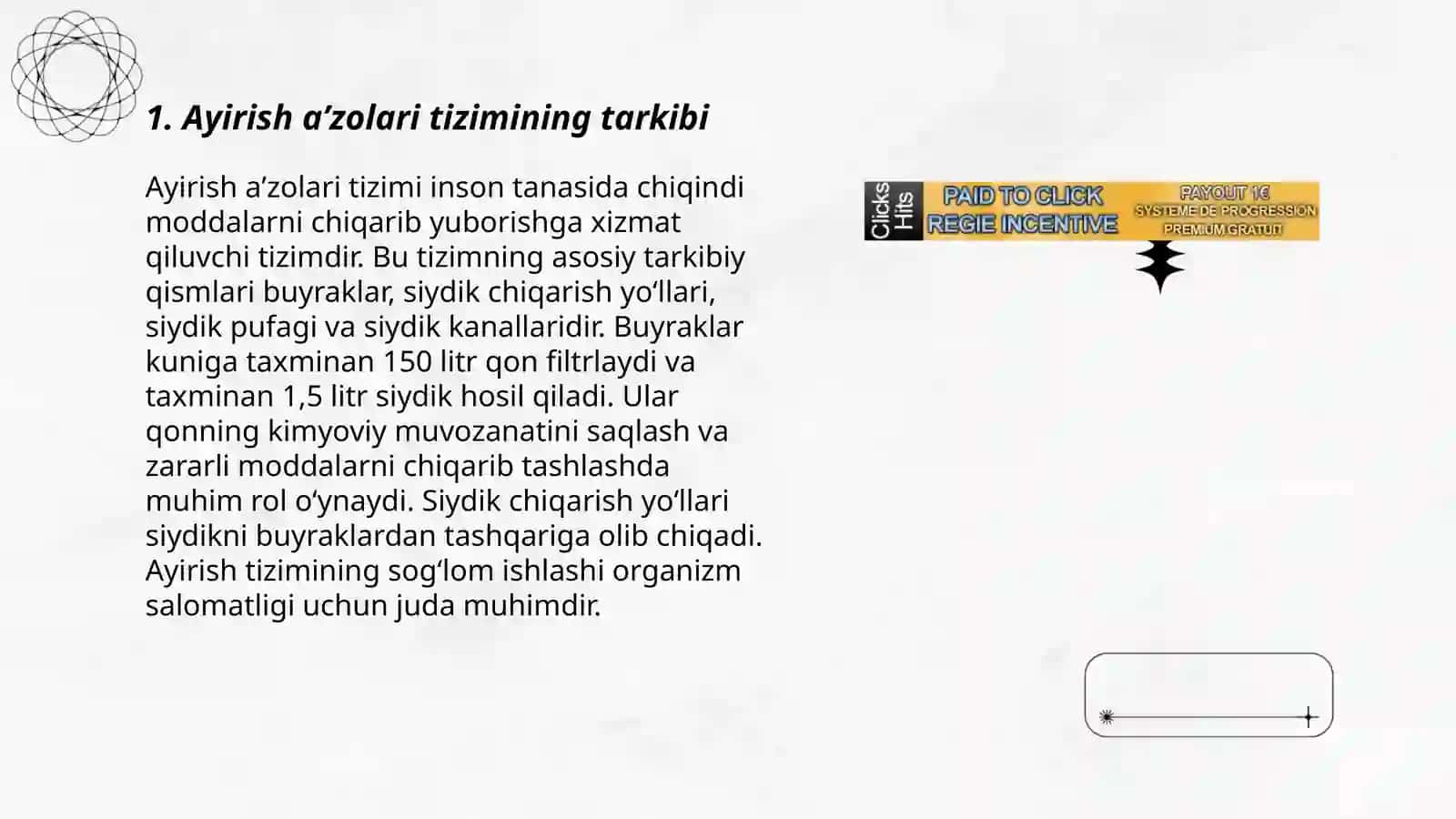 Ayirish aʼzolari tizimi 3