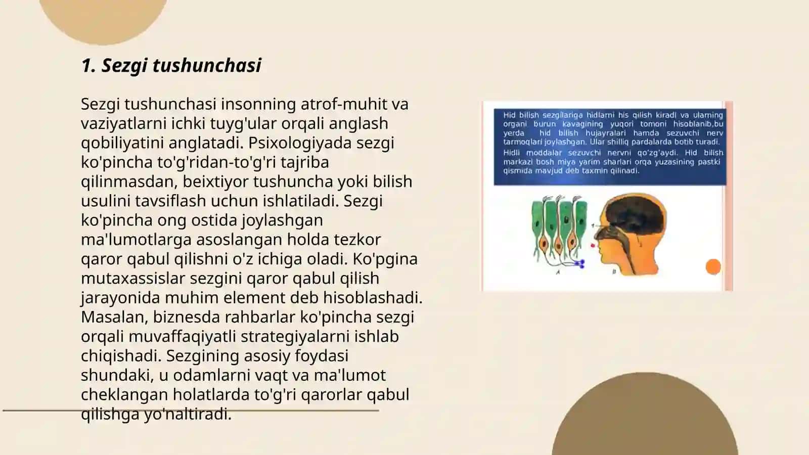 Sezgi turlari va qonuniyatlari 3