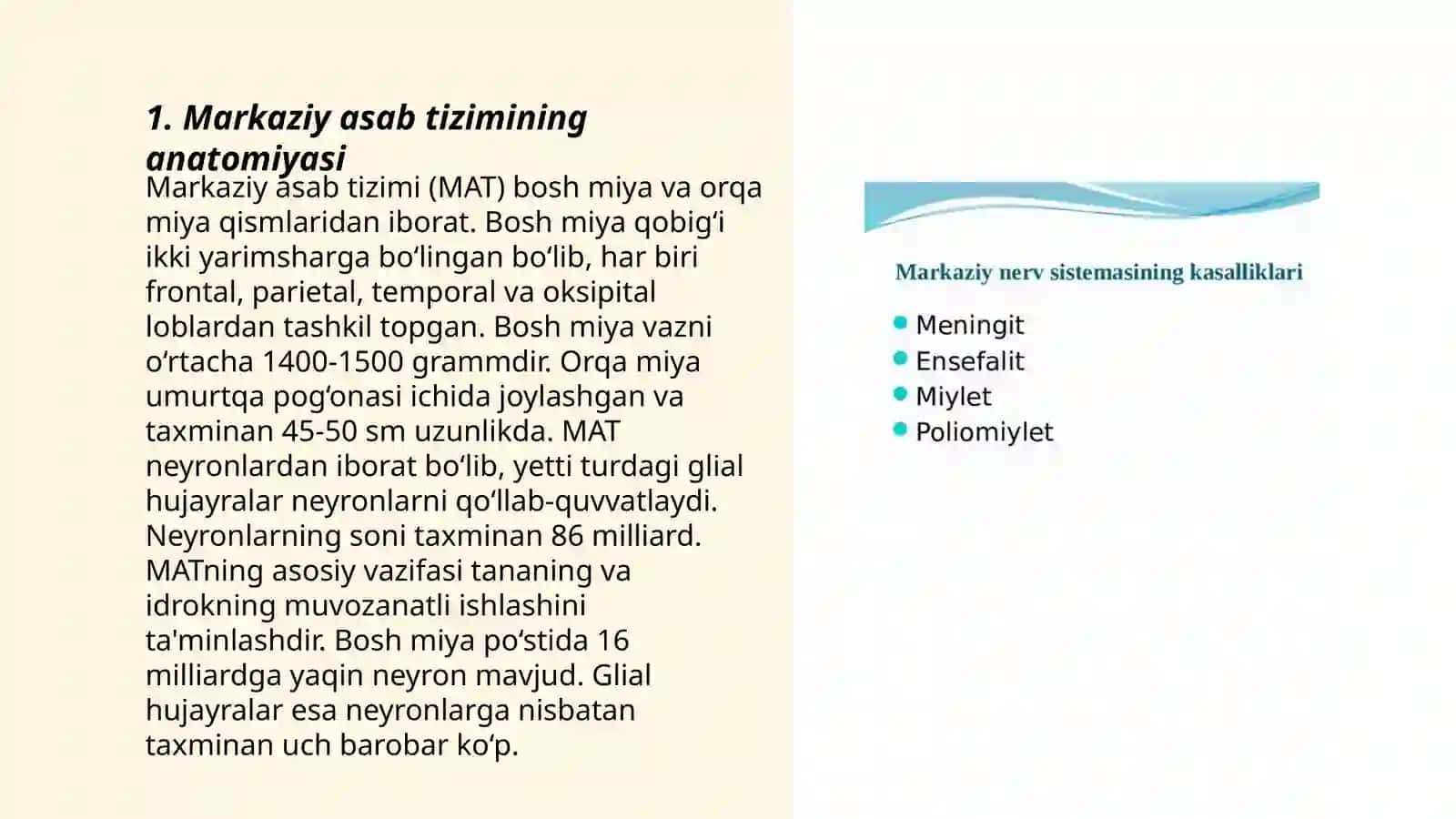 Markaziy nerv sistemasining ahamiyati va mohiyati 3