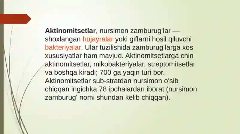 Aktinomitsetlar va ularga yaqin organizmlar 3