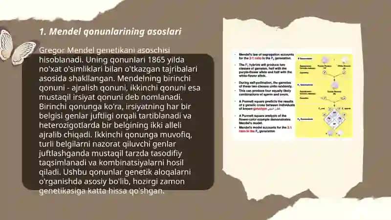 Mendel qonunlari 3