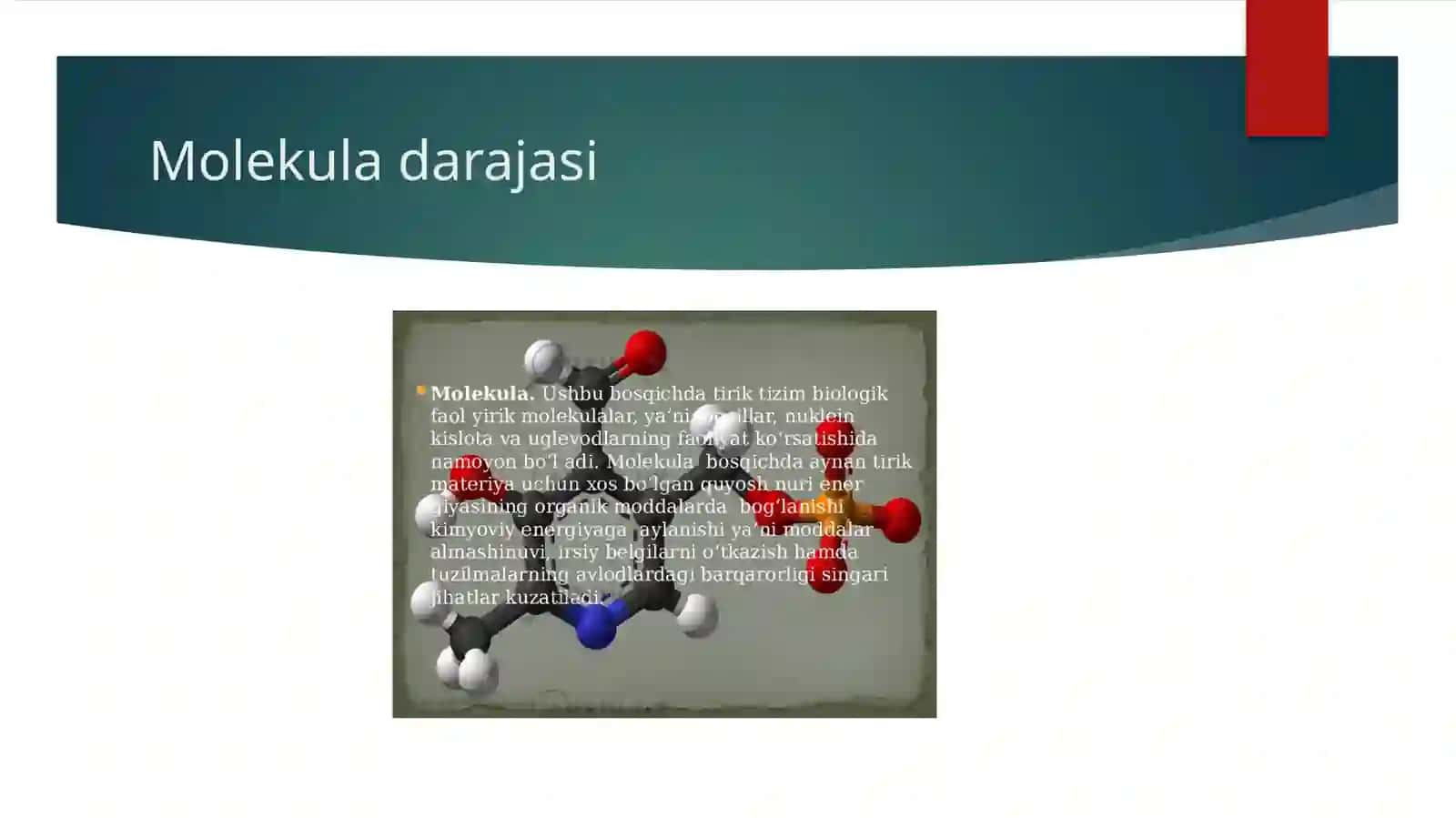 Tiriklikning tuzilish darajalari 3