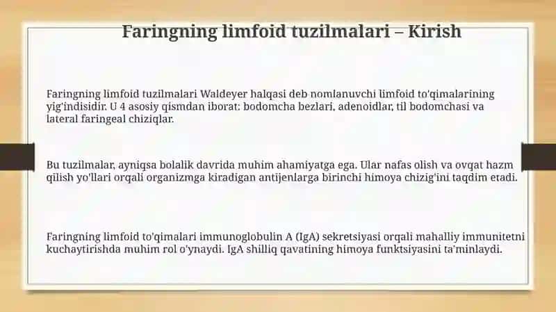 Hazm nayining limfoid tuzilmalari 3