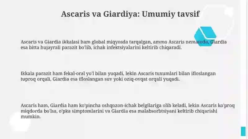 Parazitlar rishta odam askaridasi gijja 3