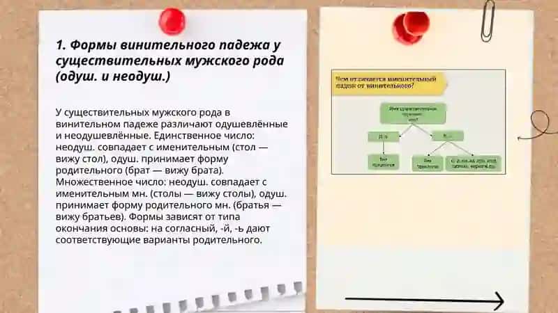 Винительный падеж 3