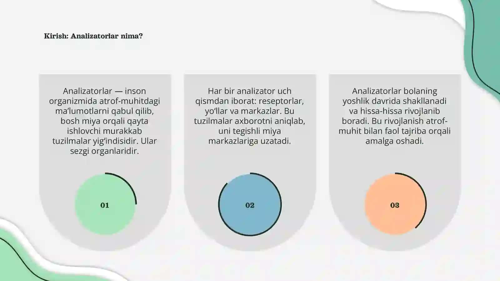 Analizatorlarning yosh xususiyatlari 3