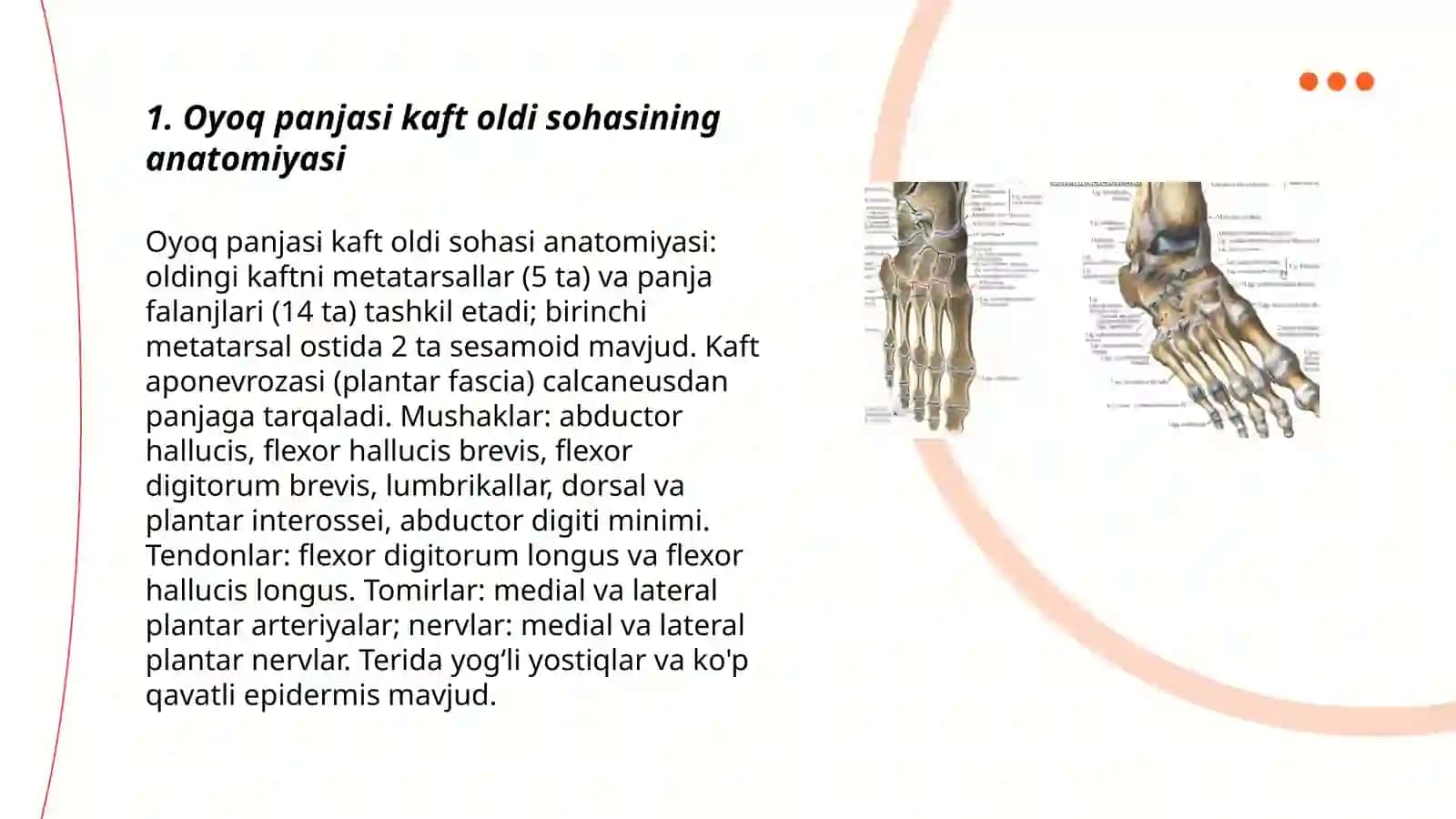 Oyoq panjasi kaft oldi sohasi 3