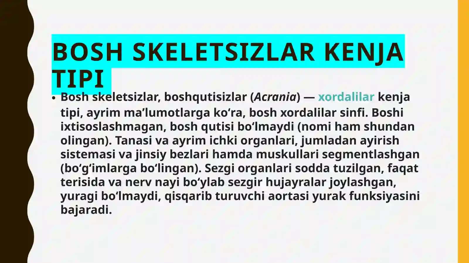 Bosh skeletsizlar kenja tipi 3