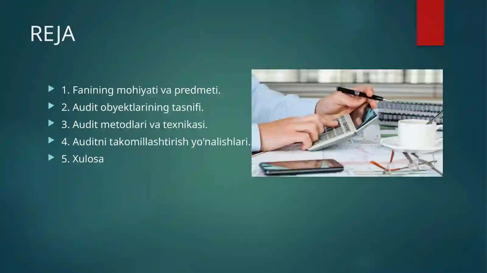 "Boshqa tarmoqlarda audit" 3