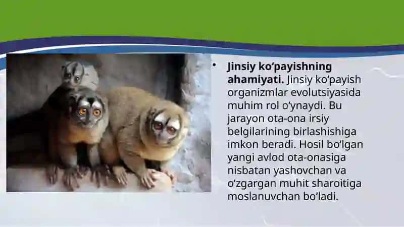 Organizmlarning jinsiy ko‘payishi 3