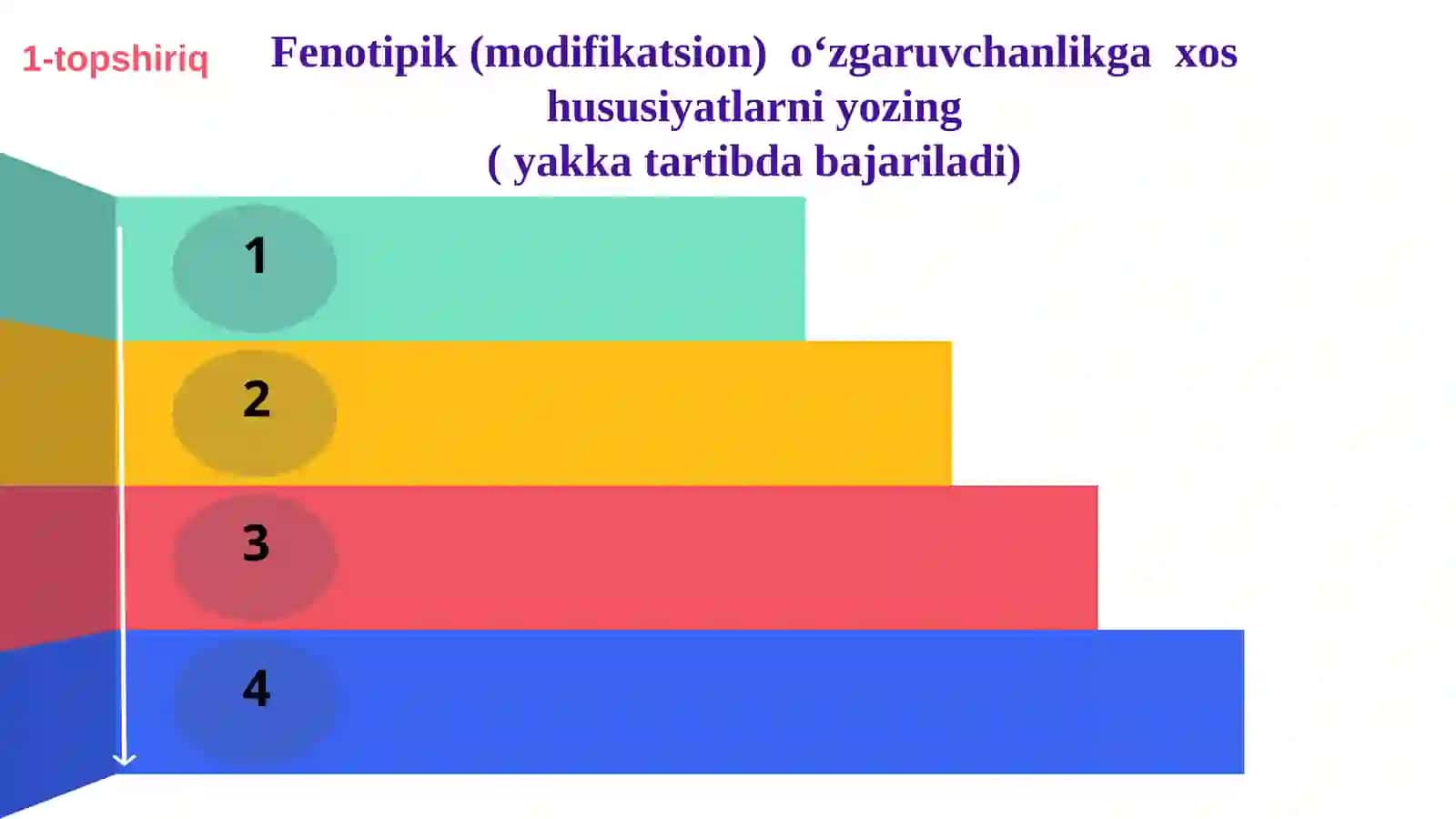 Mutatsion (genotipik) o‘zgaruvchanlik 3