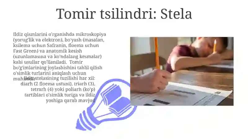 Ildiz qismlarini oʼrganish 3