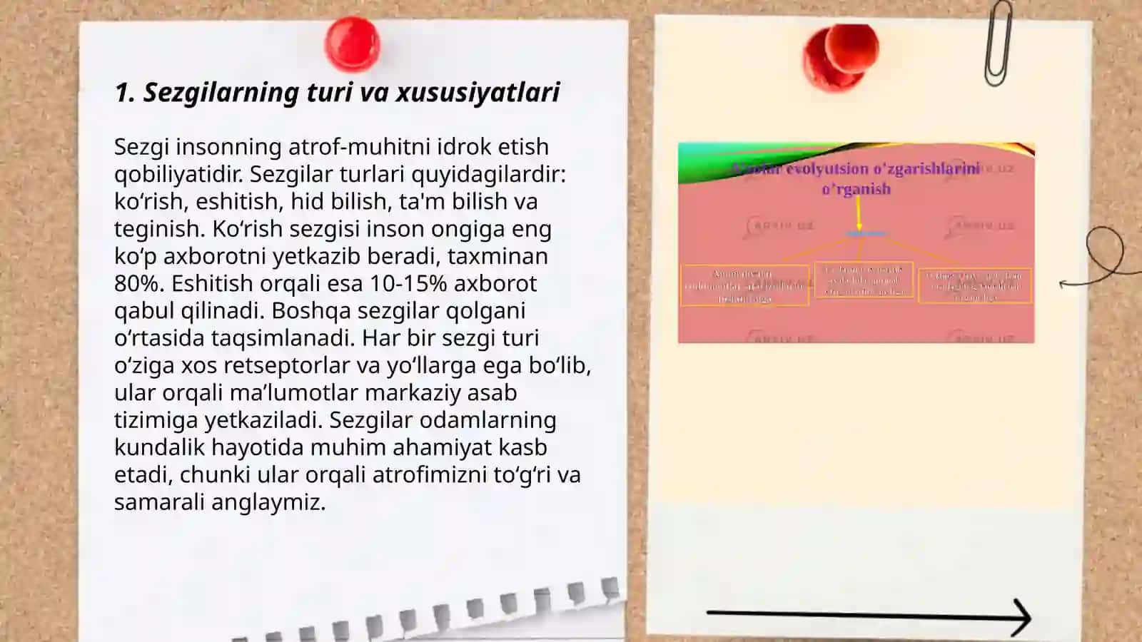 Sezgi turlari va uning qonuniyatlari 3