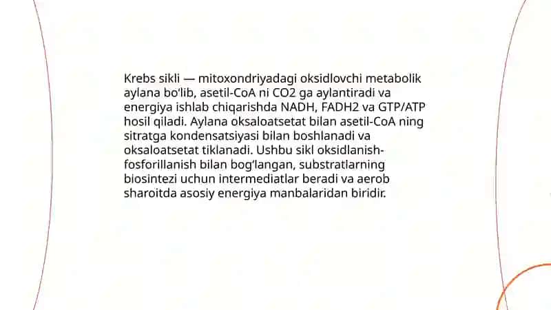 Krebs sikli 3