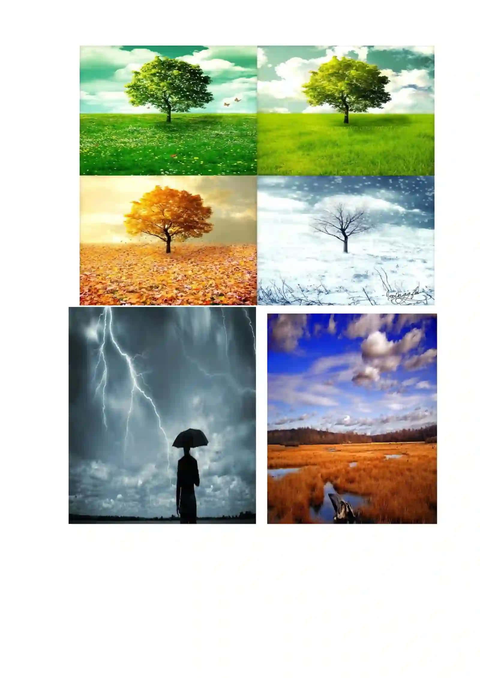 Climate and Weather 3