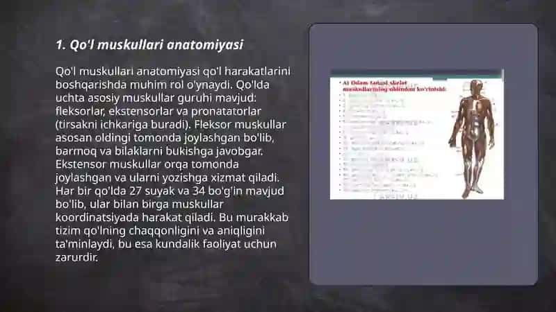 Qo'l va oyoq muskullari 3