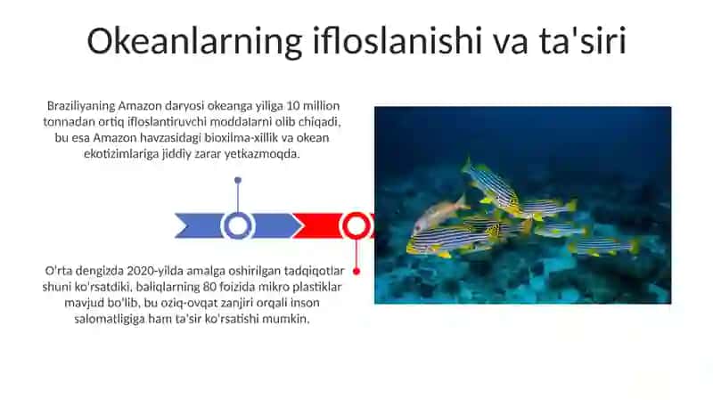 Baliqlar va dengizda yashovchilar 3