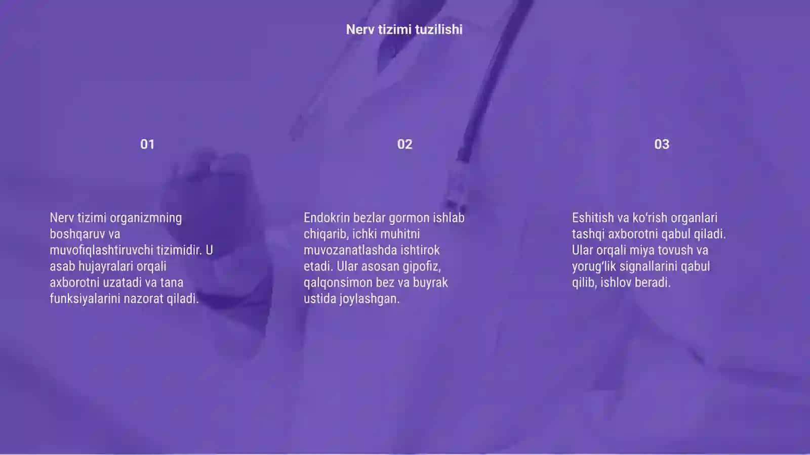 Nerv sistemasi 3