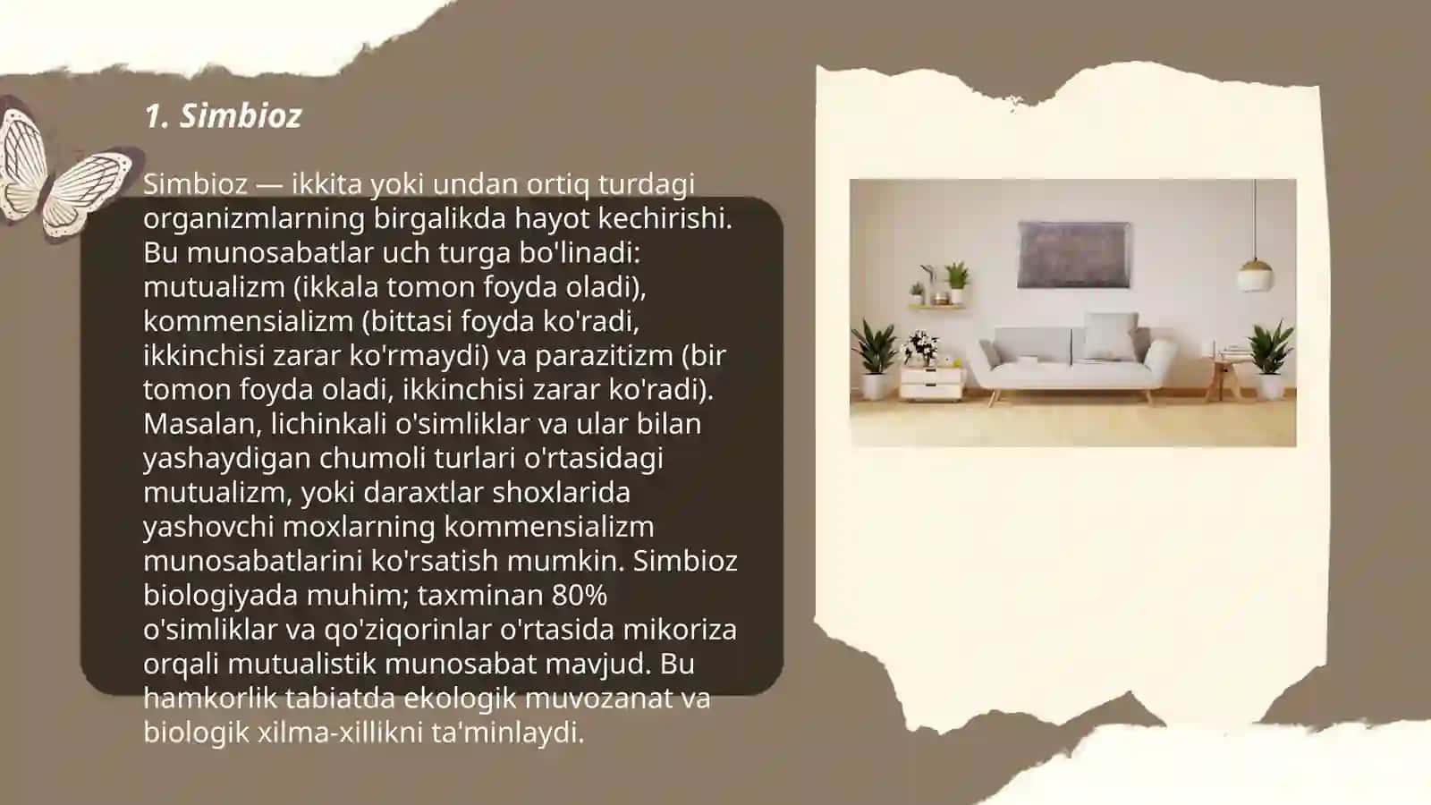 Simbioz 3