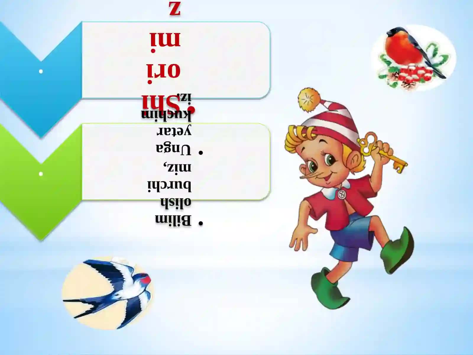 Qushlar qaydaqo`noqlar? 3