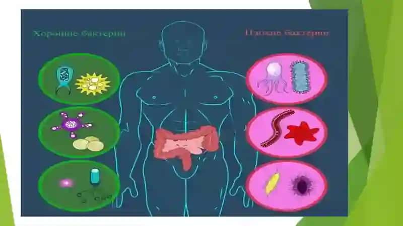 Disbakterioz mikrobiologik holati va zamonaviy diagnostik usullar 3