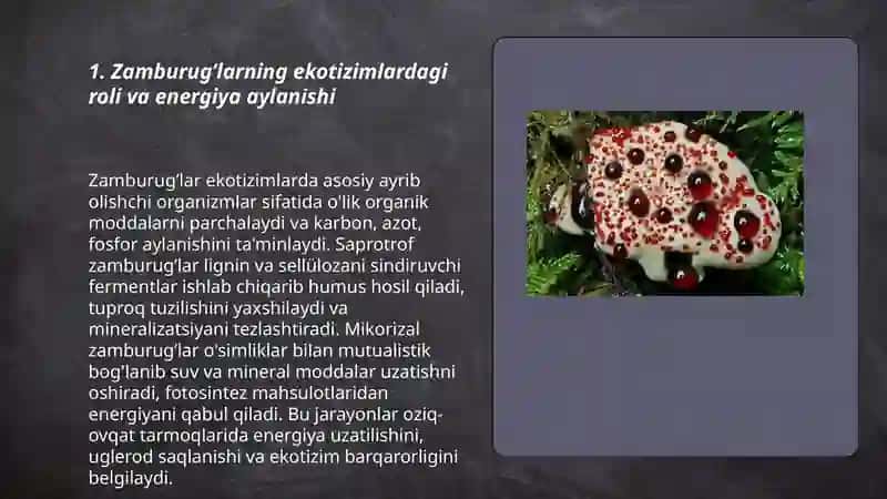Zamburug’larning ahamiyati 3
