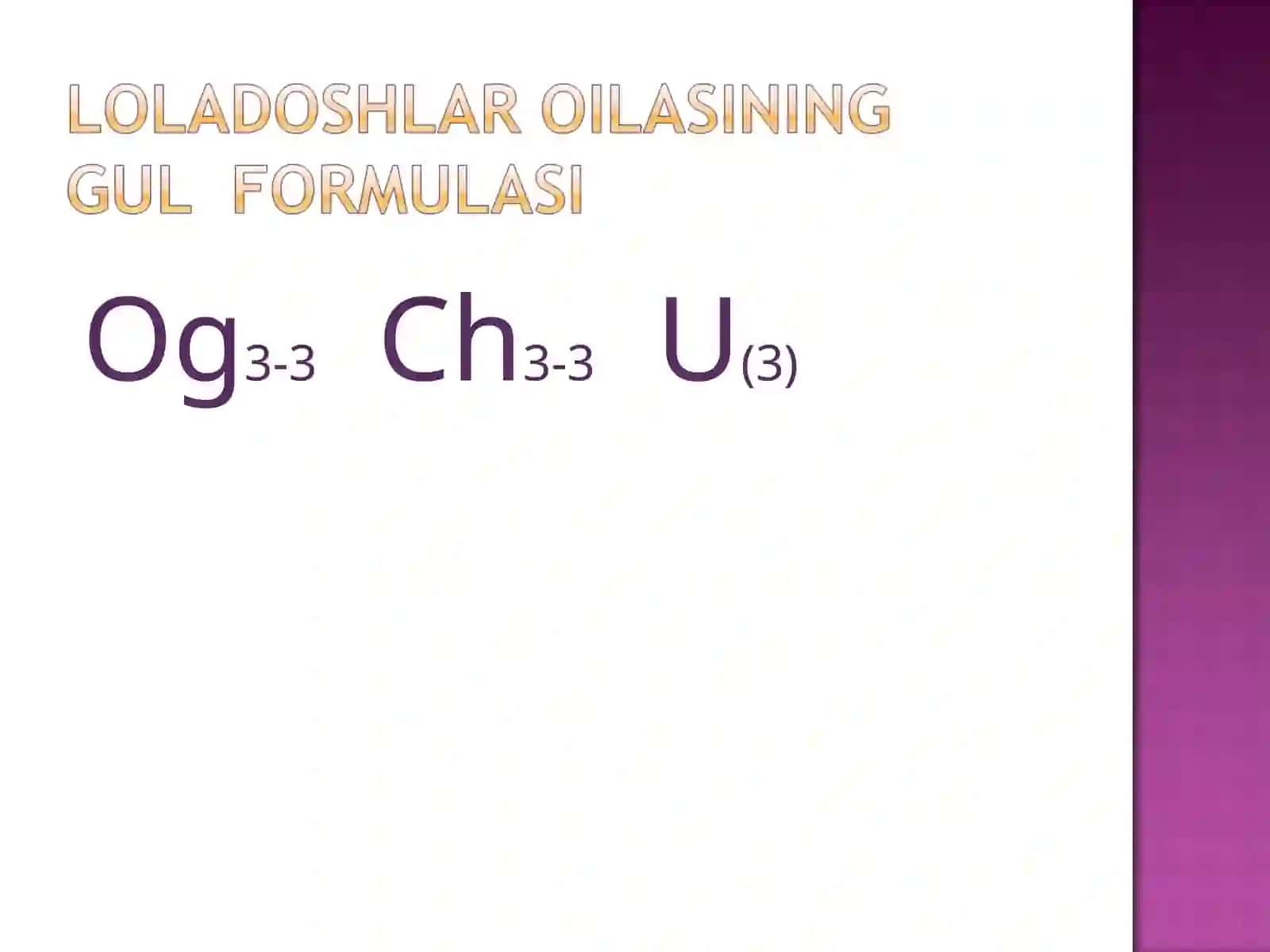 Loladoshlar oilasi 3