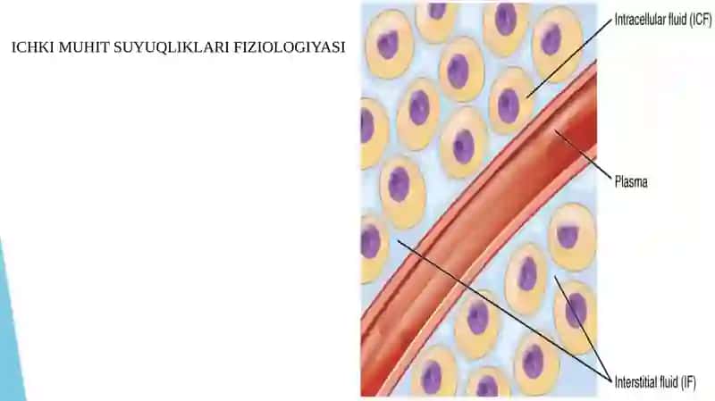 ORGANIZMNING BIOLOGIK SUYUQLIKLARI 3