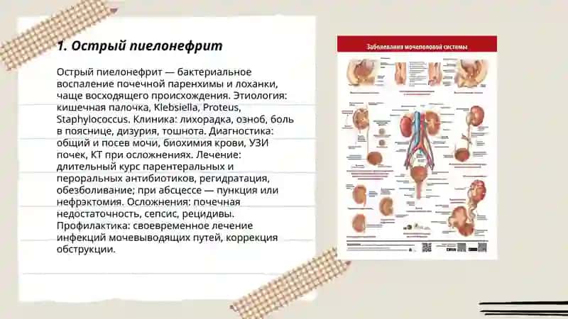 Заболевания мочевого аппарата 3