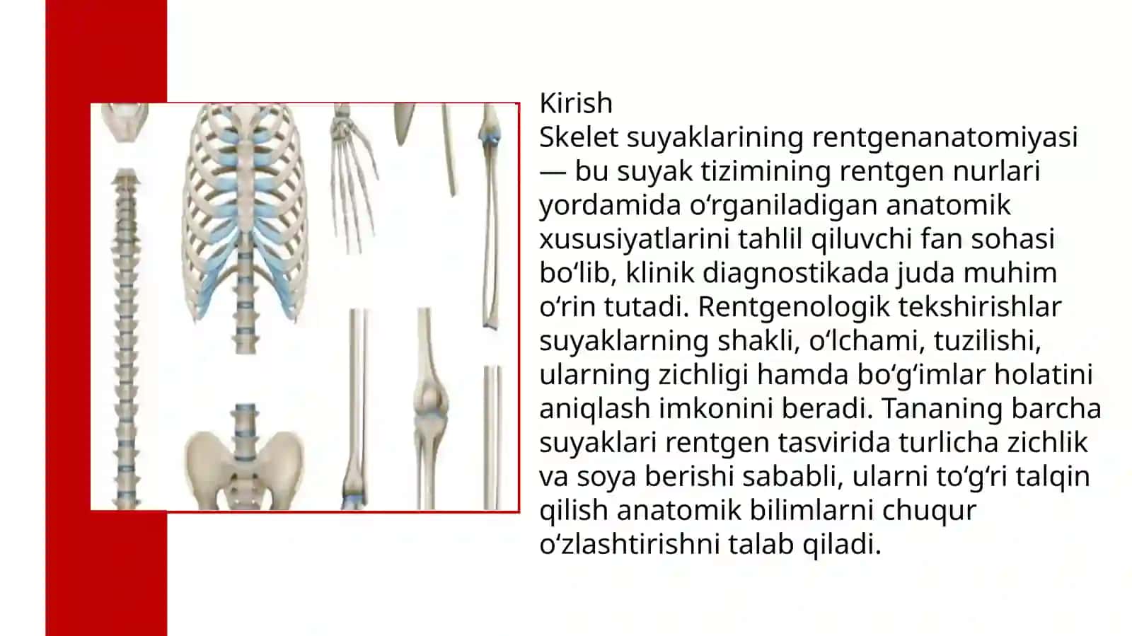 Skelet suyaklarining rentgenanatomiyasi 3
