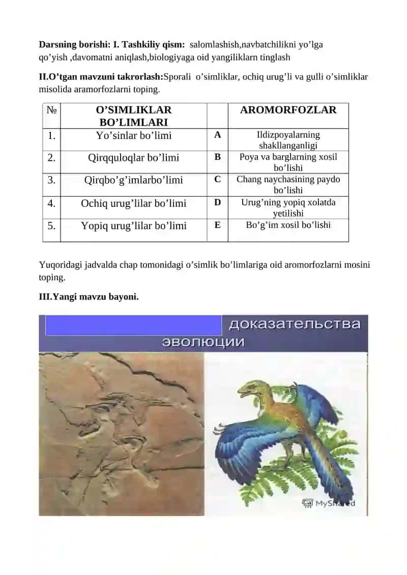Hayvonot  dunyosidagi  evolyutsion o’zgarishlar 3
