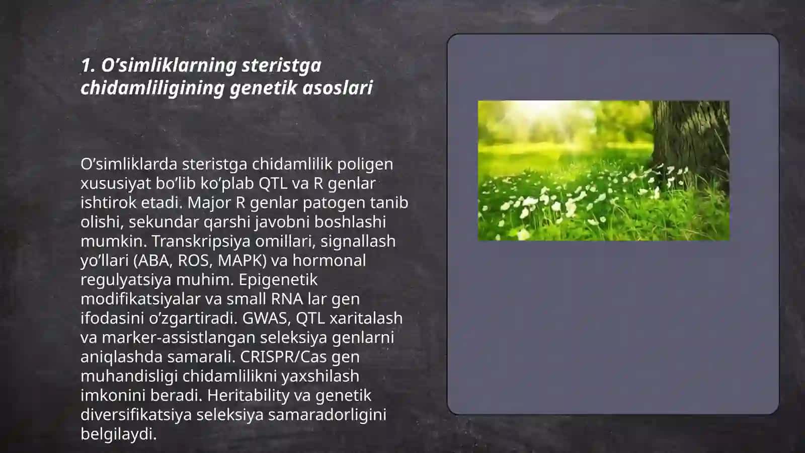 Oʼsimliklarni steristga chidamliligi 3