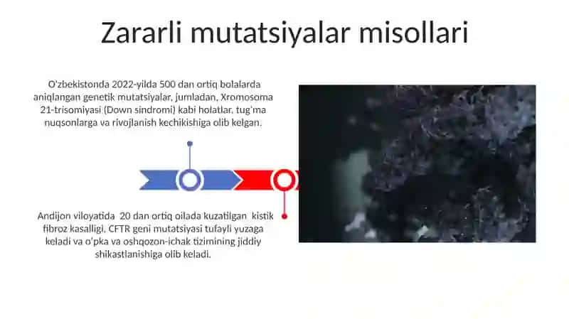 Mutatsiya zararlimi 3