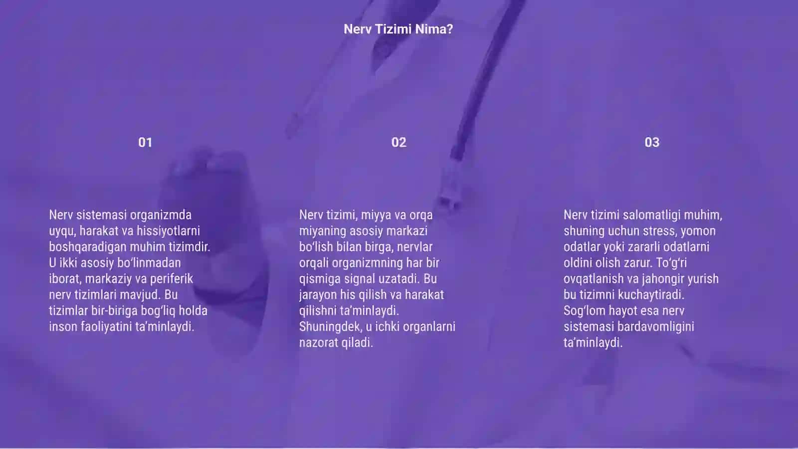 Nerv sistemasi 3