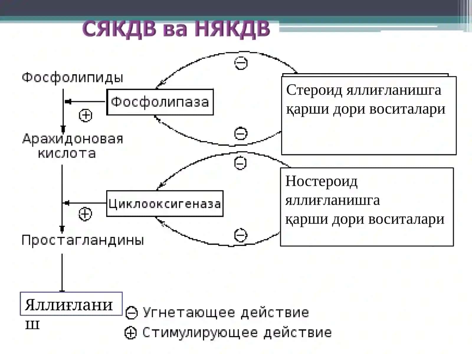 Яллиғланишга қарши доривоситалари 3