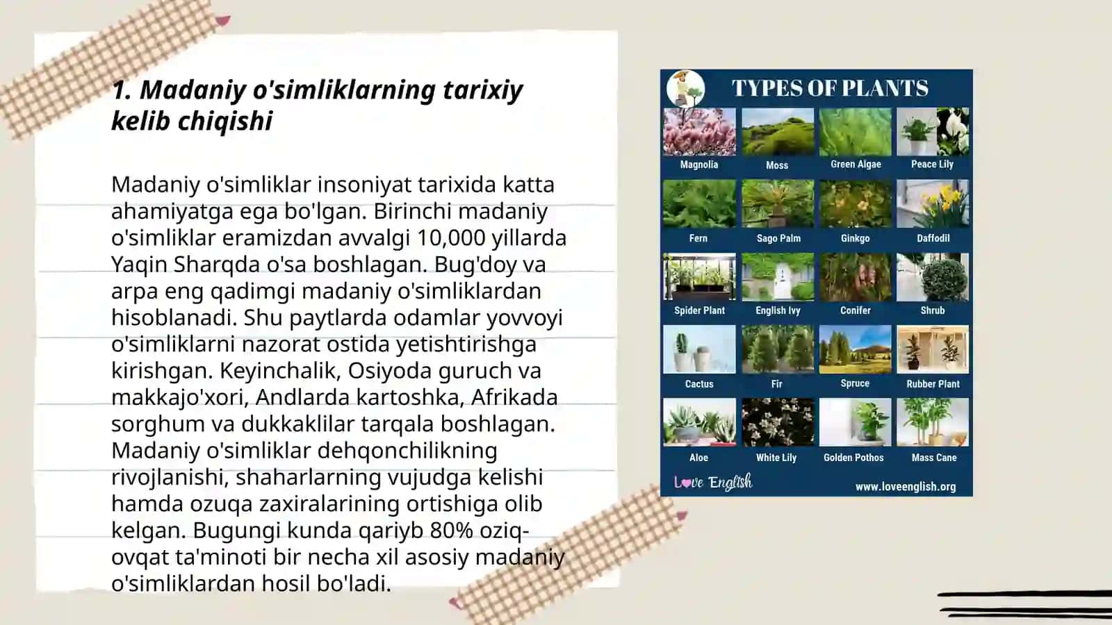 Madaniy o’simliklarning kelib chiqishi 3